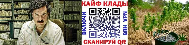 Где найти наркотики Нолинск Кокаин  А ПВП  Гашиш  Конопля  Мефедрон 