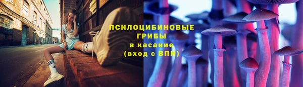 бошки Абаза