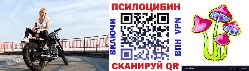 Псилоцибиновые грибы Psilocybine cubensis  закладка  Нолинск 